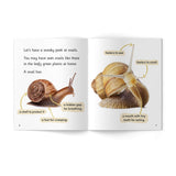 Little Learners, Big World Nonfiction Small Book Pack Stages 1-7: Set of 5 (Total of 305 books)
