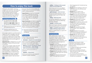 Fox Kid and the Stink Bug (Book 7)