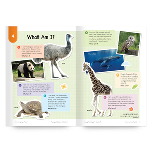 Fluency Fun: Looper Land and Other Fun Things to Read (Stage 7 Unit 5, Year 2)