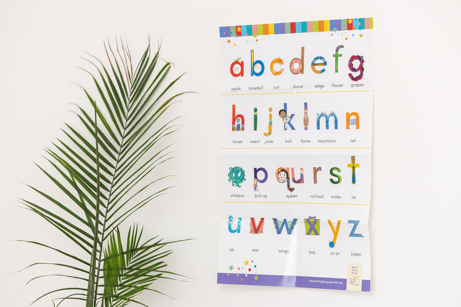 Pictograph Poster