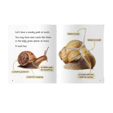 Little Learners, Big World Nonfiction Small Book Pack Stages 1-7: Set of 5 (Total of 305 books)