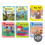 Wild Detectives Stages 1-4 Set of 20