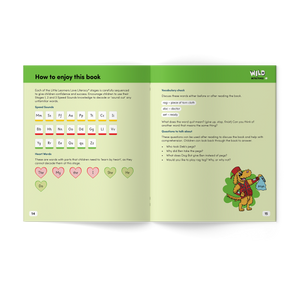 Wild Detectives Stage 3