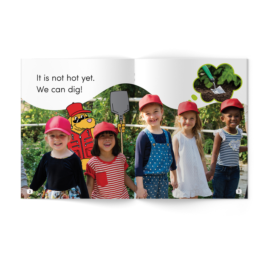 Wild Detectives Stage 3