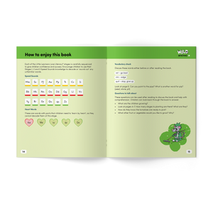 Wild Detectives Stage 3