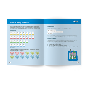 Wild Detectives Stage 4