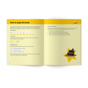 Wild Detectives Stages 1-4