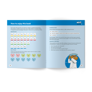 Wild Detectives Stages 1-4