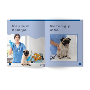 Wild Detectives Stages 1-4