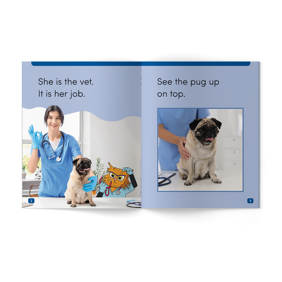 Wild Detectives Stages 1-4