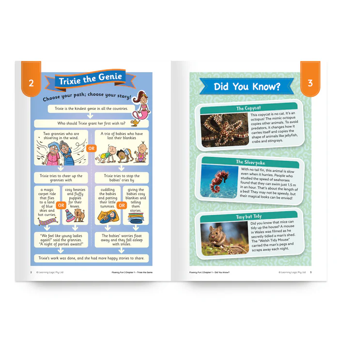 Fluency Fun: The Bear's Hair and Other Fun Things to Read (Stage 7 Unit 5, Year 2)