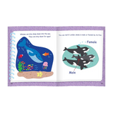 Pip and Tim Little Book Pack Stages 1-7: Set of 1 (Total of 61 books)