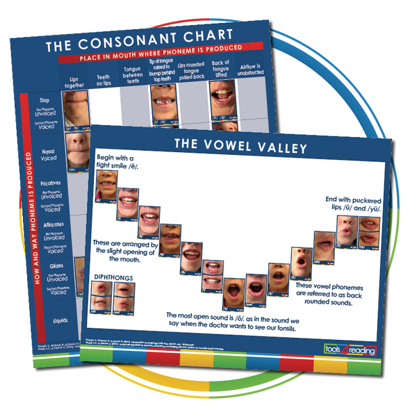 Consonant Chart & Vowel Valley Poster Set