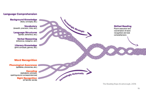 Science of Reading: Defining Guide